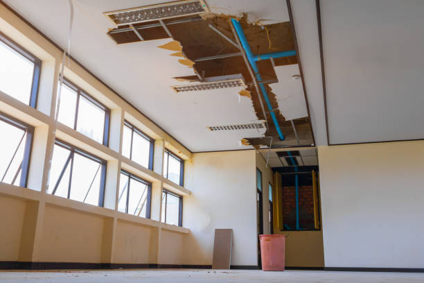 Best Water damage restoration near me  in Vanceburg, KY