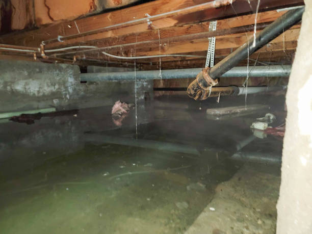 Best Sewage cleanup and water damage restoration  in Vanceburg, KY