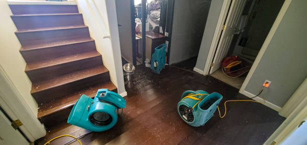 Best Water damage restoration cost  in Vanceburg, KY