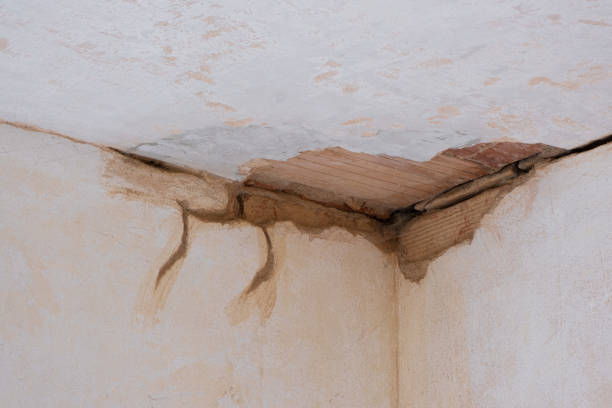 Best Water damage contractors near me  in Vanceburg, KY