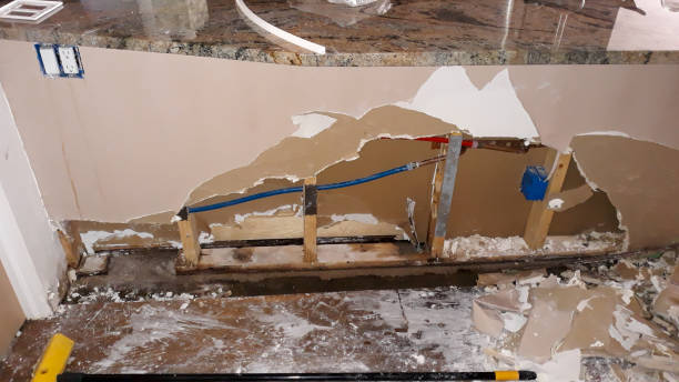 Best Ceiling water damage repair  in Vanceburg, KY