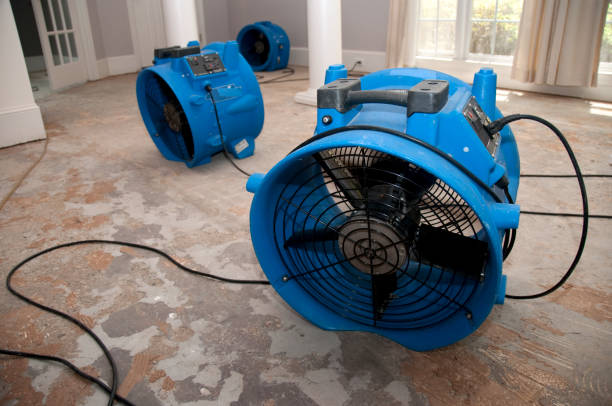 Best Flood restoration services  in Vanceburg, KY