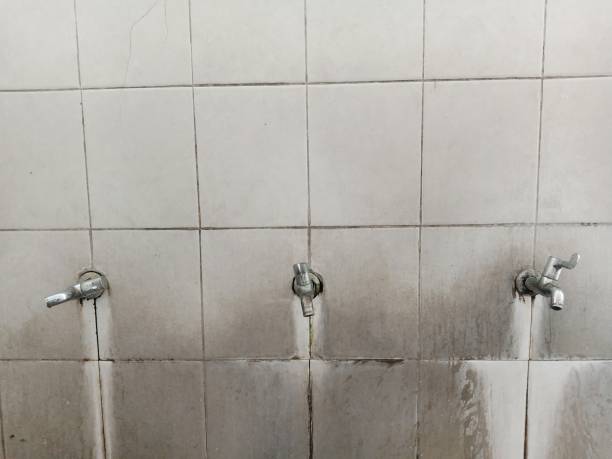 Best Water damage cleanup near me  in Vanceburg, KY