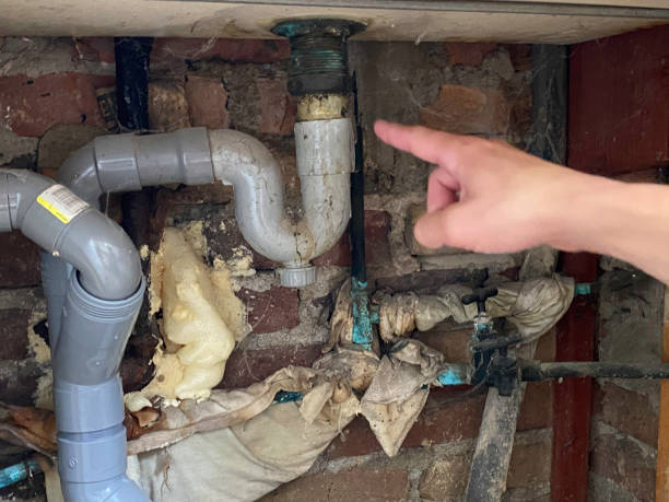 Best Flood damage cleanup  in Vanceburg, KY