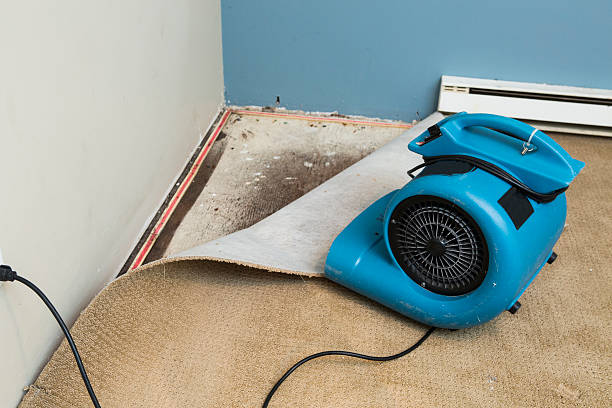 Best Commercial water damage restoration  in Vanceburg, KY